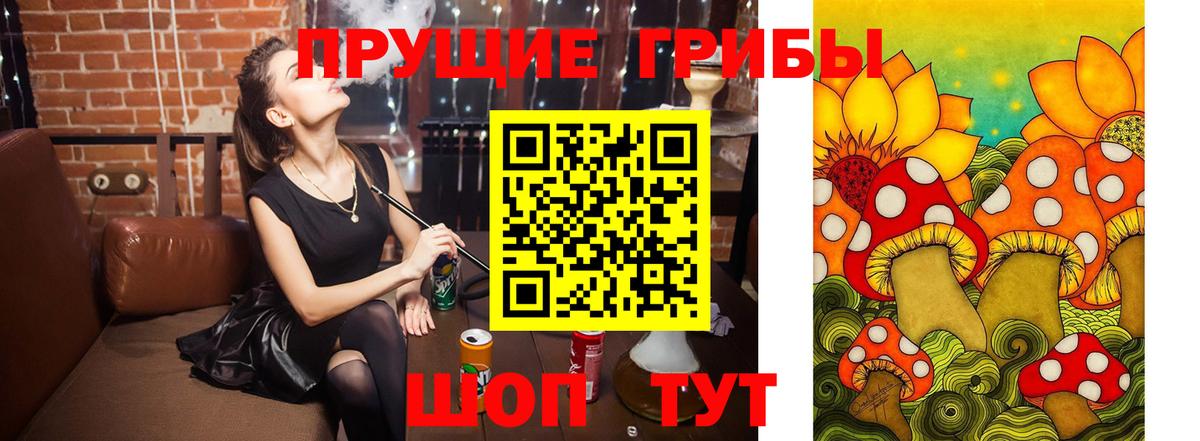 Псилоцибиновые грибы Psilocybe Удомля